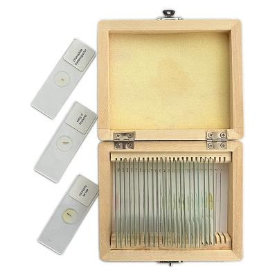 China School Biological Equipments NERS Clear Specimen Mounted 25 Pieces Microscope Examination Prepared Slide Set for sale