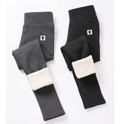 China Dropshipping 2022 antibacterial winter plus warm high-waisted thick lambskin velor thick corduroy women's autumn and winter leggings for sale