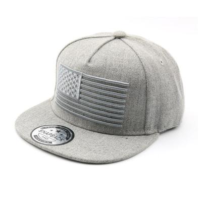 China Low MOQ COMMON Flat Brim Customize Snapback Hats Hats for sale