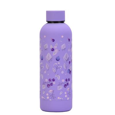 China Sustainable Fruit 3D Design Vacuum Insulated Stainless Steel Double Wall Portable Sports Water Bottle Thermos Mug for sale