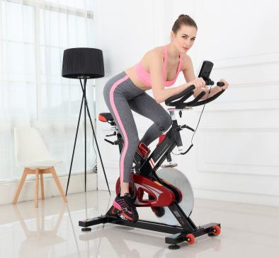 China 2022 Hot Selling Universal Bicycle Gym Exercise Bike, Indoor Exercise Flywheel Bike Cycle Exercise Spinning Machine for Home Office Use for sale