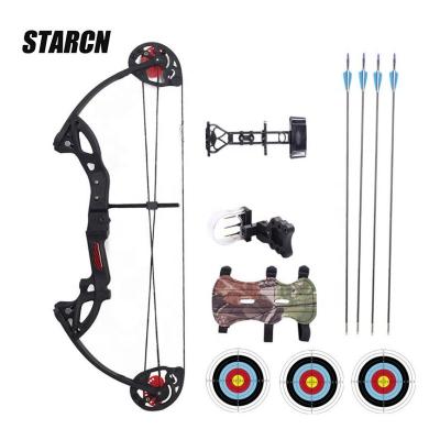 China Compound Archery Accessories Bow Hunting Shooting Shooting Products Kids Compound Bow for sale