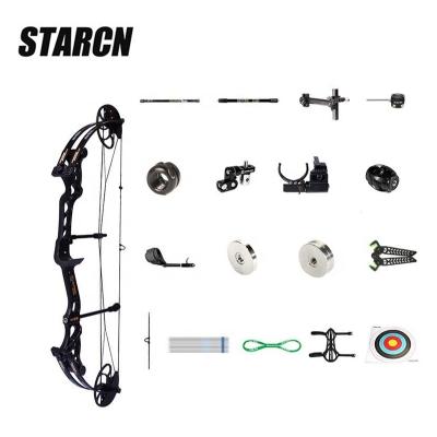 China Hot Sale Teenagers Outdoor Shooting Training Archery Compound Archery Shooting Set for sale