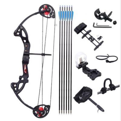 China Archery Equipment Shooting Teenagers Shooting Hunting Compound Bow for sale