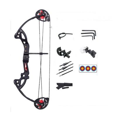 China SHOOTING Safe Three Colors Arrows Bow Tool Adjustable Archery Shooting Range Child Compound Bow Set for sale