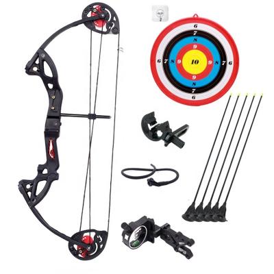 China Hunting High Quality Archery Accessories Bow Arrow Price Child Hunting Compound Bow For Sale for sale