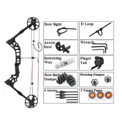 China Hunting Wholesale Primary X7 Archery Equipment Bow Compound Arrows Hunting Archery Set For Adults for sale