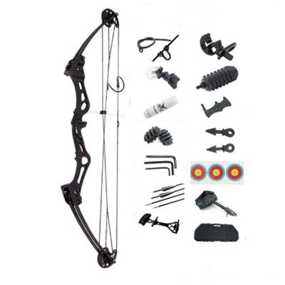 China Hunting Archery High Quality Al-MG Alloy Material 60 Pound S1 Hunting Compound Bow Set For Shooting for sale