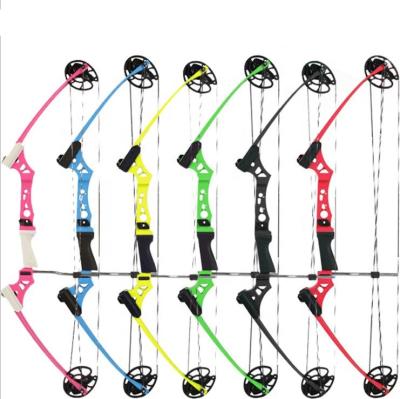 China Kids Archery Equipment Shooting Aim Magnalium Mini Kids Compound Bows Paper Material for sale