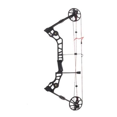 China Hunting Black Bow Archery Accessories Strong Durable Hunting Training 70 Pounds Compound Outdoor Bow Hunting for sale