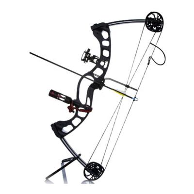 China Archery Tag Compound Shooting Bow Black Adjustable Left Off Al Mg Alloy Material Arrows Compound Bow for sale