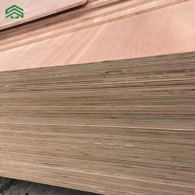 China Bintangor modern okume plywood wood veneer nature commercial plywood for furniture for sale