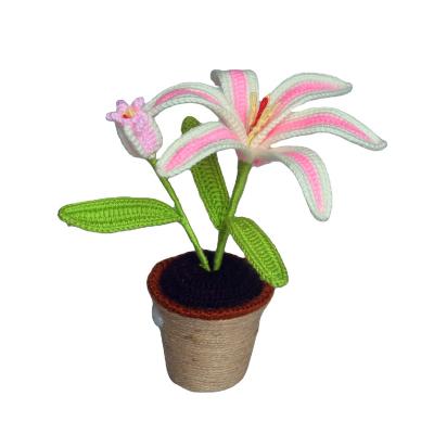 China Hand Crochet Competitive Price Good Quality Rope Macrame Knitted Crochet Lily Bonsai for sale