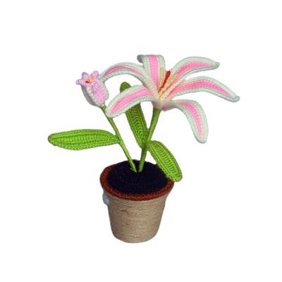 China Hand Crochet Good Quality Top Selling Latest Design Office Hook Lily Bonsai for sale