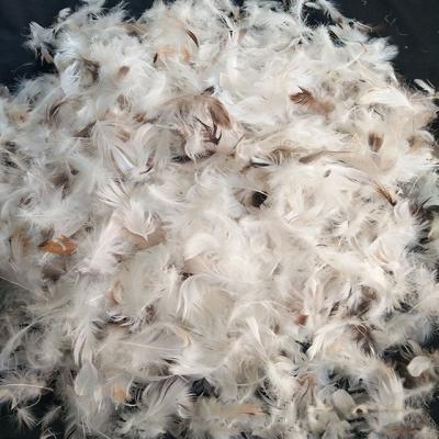 China Hot factory direct sales stocking wholesale water wash 2-4 gray duck feather slices no smell for sale