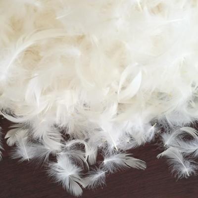 China Hot Wholesale Factory Direct Sales Stocking Water Wash 4-6 Duck Feather Slices No Odor White for sale