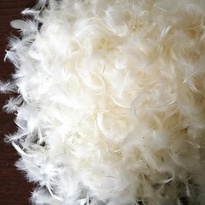 China Wholesale high cleanliness natural raw material filling material odorless washing 4-6cm white goose feather for sale