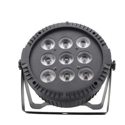 China Professional Indoor Theme Park Disco Stage Lighting Equipment 9 Pcs Par Lighting Disco Light for sale