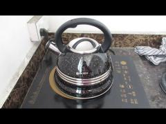 Tea pot third party quality inspection service in China