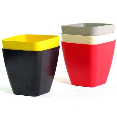 China Mini Succulent Flower Pot Flower Pot Flower Pot Wholesale Cheap 10cm Square Minimalist for sale