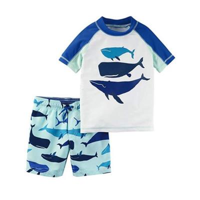 China Best Quality T-shirt Logo Kids Short Sleeve Rash Guards Custom UV Protection Apparel for sale