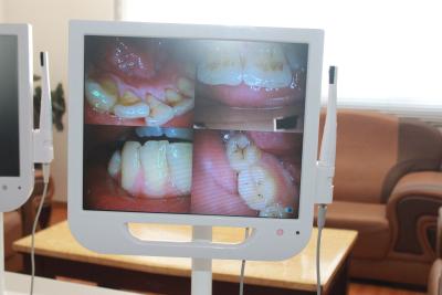 Chine moniteur d'affichage à cristaux liquides de 17 pouces avec construit dans 1/4 intra disque oral de l'appareil-photo 8G de CCD à vendre