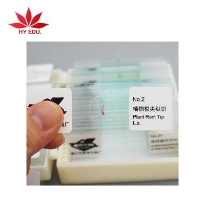 China Microscope Accessories Fixed Set 25 Pcs Botany Microscope Prepared Slides for sale