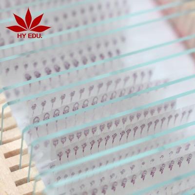 China Microscope Viewing Amphiuma Frog Tissue and Prepared Organ Slides Tadpole Slides Microscope Slides for sale