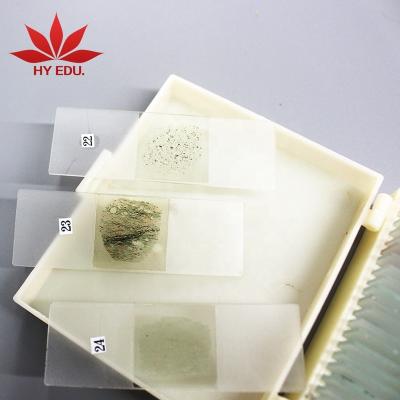 China Microscope Slides 24 Pcs / Set Rocks And Mineral Specimens Microscope Slides For Geology Slides Science for sale