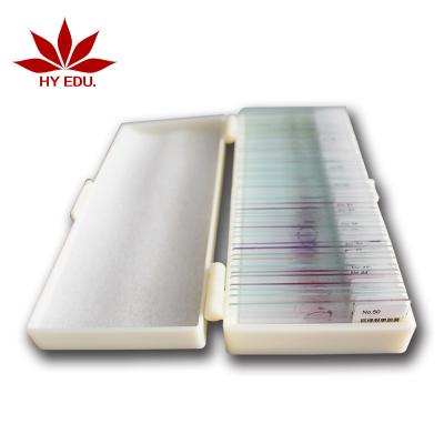 China Mixed Prepared Microscope Research Microscope Slides Fungi And Bacteria Slides For Higher Education for sale