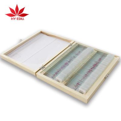 China Application: Senior and primary school students studying hot sale for high education microscope slide100 kinds of human histology prepared slides for sale