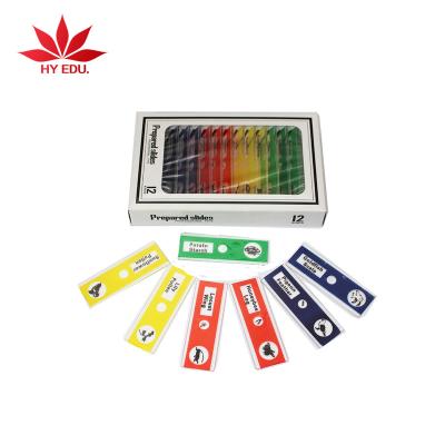 China 3-16years old children as a gift for kids biology science 4 sets plastic microscope slides set teaching aids for kids for sale