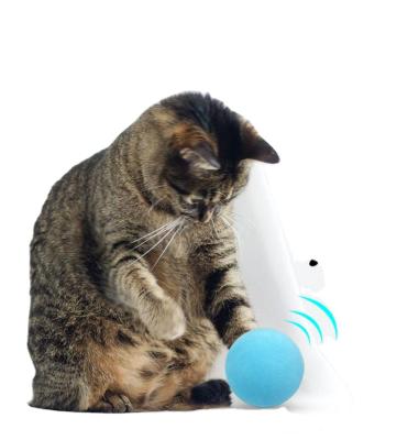 China Pet Stocked Sounding Toys Self-hi Cat Toy Ball Interactive Toy Ball Catnip Funny Cat Hair for sale