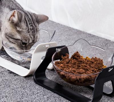 China New Designed Cute Transparent Viable Pet Cat Food Bowl To Protect The Cervical Spine for sale