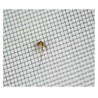 China Corrosion Resistance Chinese Factory Galvanized Wire Window Screen Netting Galvanized Insect Screening for sale