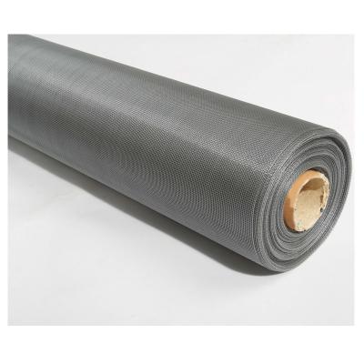 China Wire Mesh Chinese Manufacturer Galvanized Iron Wire Mesh For Mosquito Net Window Woven Screen for sale