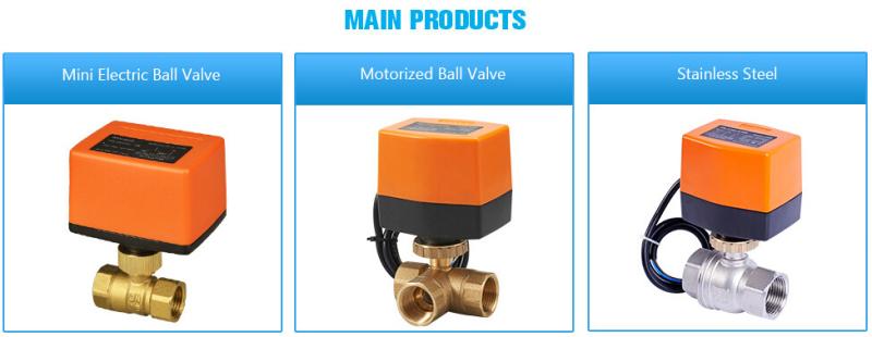 確認済みの中国サプライヤー - Winner Ball Valves Co.,Ltd