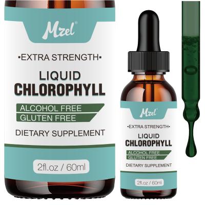 China Health Protects Wholesale Private Label 100% Natural Chlorophyll Liquid Drops - Energy Boost and Immune Support - Fast-Absorbing for sale