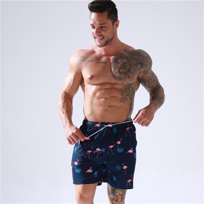 China 2022 High Quality Selling Antibacterial Swim Trunks Swimming Designer Best Designer Shorts For Mens Womens for sale