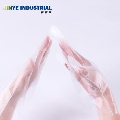 China Food Contact Grade Transparent Plastic CPE Disposable Gloves Waterproof Household Cleaning Gloves à venda