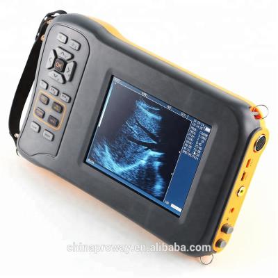 China Veterinary Equipment: PRUS-BL600V Handheld Use Veterinary Ultrasound Machine 5.8inch WVGA LCD Monitor for sale