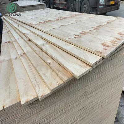 China Raincoat ; Competitive price quality assurance structural sheet cdx plywood sheet pine 18mm for wholesale for sale