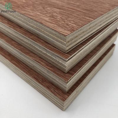 China China Cheap Modern Customizable Birch 4x8 Furniture Cabinet Decoration Roofing Plywood 12mm 15mm 18mm With FSC for sale