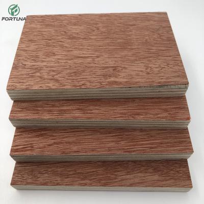 China Raincoat ; Competitive Price High Quality Size Can Be Cuatomize 20mm 18mm Marine Boat Building Plywood for sale