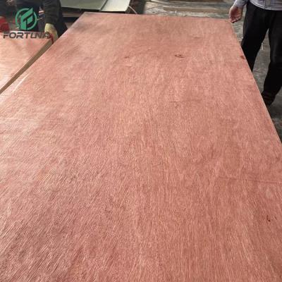 China Raincoat ; Commercial Hardwood 12mm 15mm 18mm Okoume Red Sheet Plywood Good Quality Competitive Price With Competitive Price for sale