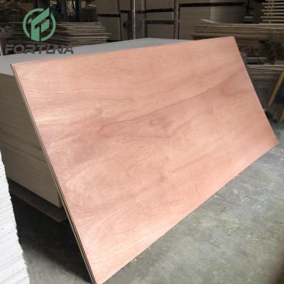 China Raincoat ; Competitive Price Factory Direct Commercial Sapele Plywood Laminated Plywood for sale