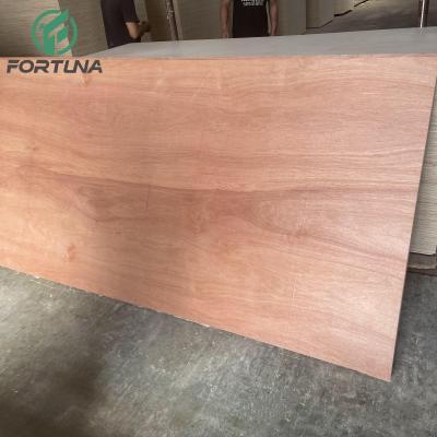 China Raincoat ; Competitive Price Construction Plywood 4mm Sapele Veneer Plywood for sale