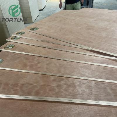 China Raincoat ; Competitive Price Linyi Factory Okoume Sapele Marine Plywood Commercial Plywood for sale