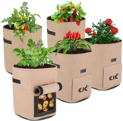 China Felt Fabric Plant Garden Vegetable Growing Bags 15 Gallon Grow Bags for sale