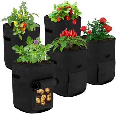 China Eco Friendly Felt Fabric Tomato Plant Pots With Window Flap Grow Bags Fabric for sale